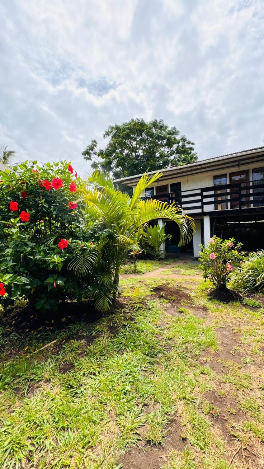 Mata Nui Eco Hostel Hanga Roa Dış mekan fotoğraf