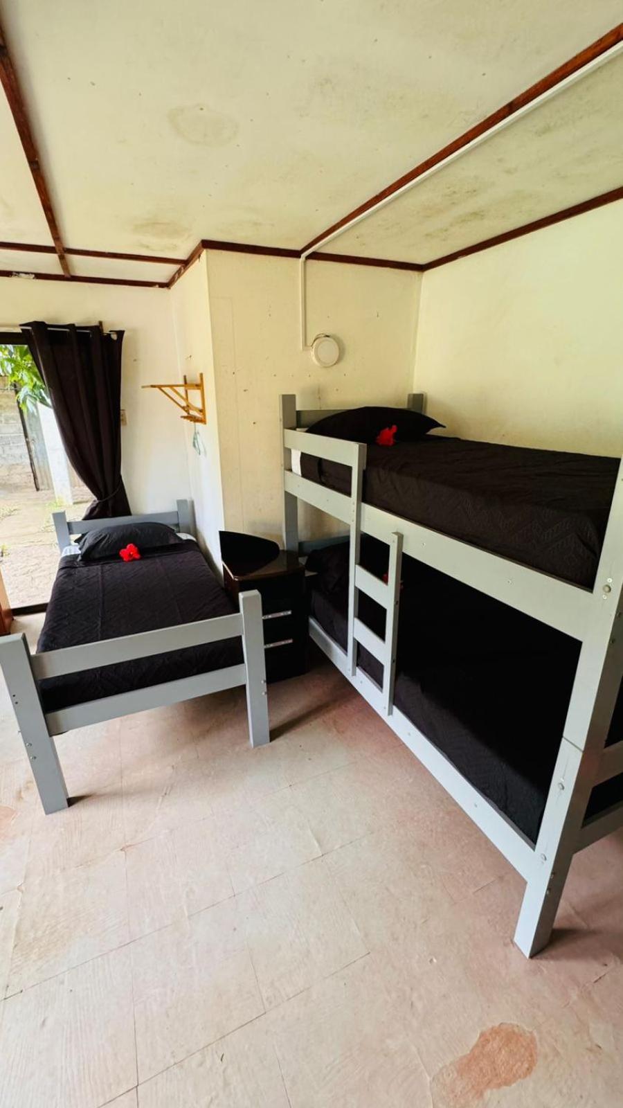 Mata Nui Eco Hostel Hanga Roa Dış mekan fotoğraf